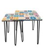 Digital Mexican Print Nest of Tables (Set of 2 ) in Multi Colour