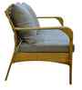 Dijon Wicker 2+1+1 Sofa Set In Green Color