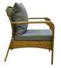 Dijon Wicker 2+1+1 Sofa Set In Green Color