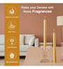 Dinner Candle Wax Candle (Gold)