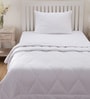 White 100% Cotton 250 AC Room Single Bed Duvet Insert
