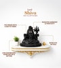 Black Divine Polyresin Lord Shiva idol