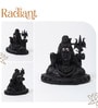 Black Divine Polyresin Lord Shiva idol