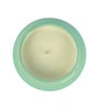 Rainforest Sea Green Soy Wax Scented Jar Candle