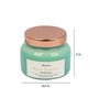 Rainforest Sea Green Soy Wax Scented Jar Candle