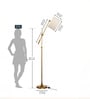 Divine Trends Modern Reading Task Floor Lamp Standing Focused Light Adjustable Height and Moveable Brass Antique finish