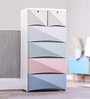 Vaamsi Multicolour Five Layers Chest of Drawer