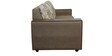 Durban 3 Seater Sofa in Brown colour