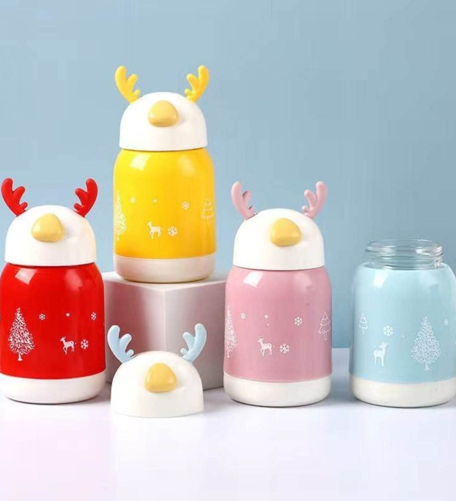 Double Wall Insulated Water Bottle