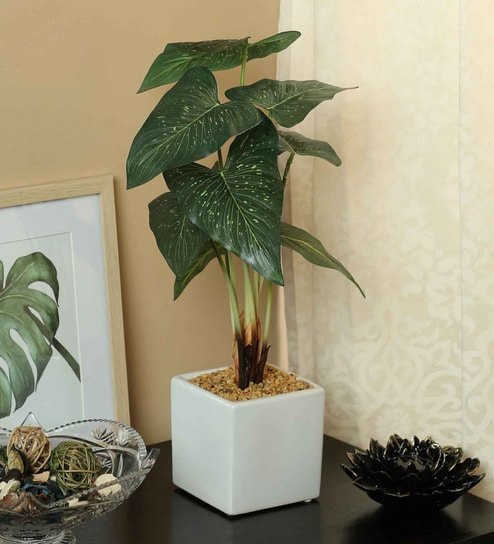 Dot Monstera Pvc Dot Monstera Artificial Bonsai With White Ceramic Pot
