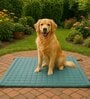 Dog Travel Mat  Teal