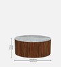 Dolomite Mango Wood Coffee Table Set In Walnut Finish