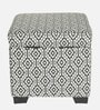 Dolphin Fabric Ottoman in Green & White Colour