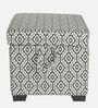Dolphin Fabric Ottoman in Green & White Colour