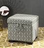 Dolphin Fabric Ottoman in Green & White Colour