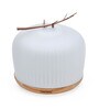 Dome Glass & Rubber Wood Aroma Humidifier