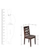 Dona Dining Chair in Walnut Finish