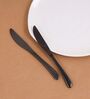 Dora 13/0 Stainless Steel