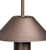 Amaze Brown Metal LED Ceiling Lights