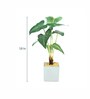 Dot Monstera Pvc Dot Monstera Artificial Bonsai With White Ceramic Pot