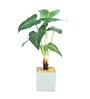 Dot Monstera Pvc Dot Monstera Artificial Bonsai With White Ceramic Pot