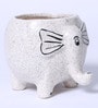 Dotted White Glazed Ceramic Elephant Shaped Desk Pot