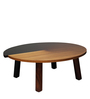 Double Circle Coffee Table In Ombre Colour