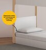 Double Decker Bunk Bed in Pearly White Colour