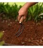 Double Prong Weeder
