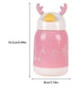 Double Wall Insulated Water Bottle