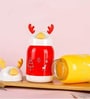 Double Wall Insulated Water Bottle