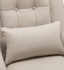 Dowdle Velvet Lounge Chair In Beige Colour