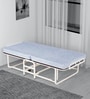 Dozer Folding Single Bed with Mattress in African Oak Finish