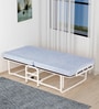 Dozer Folding Single Bed with Mattress in African Oak Finish