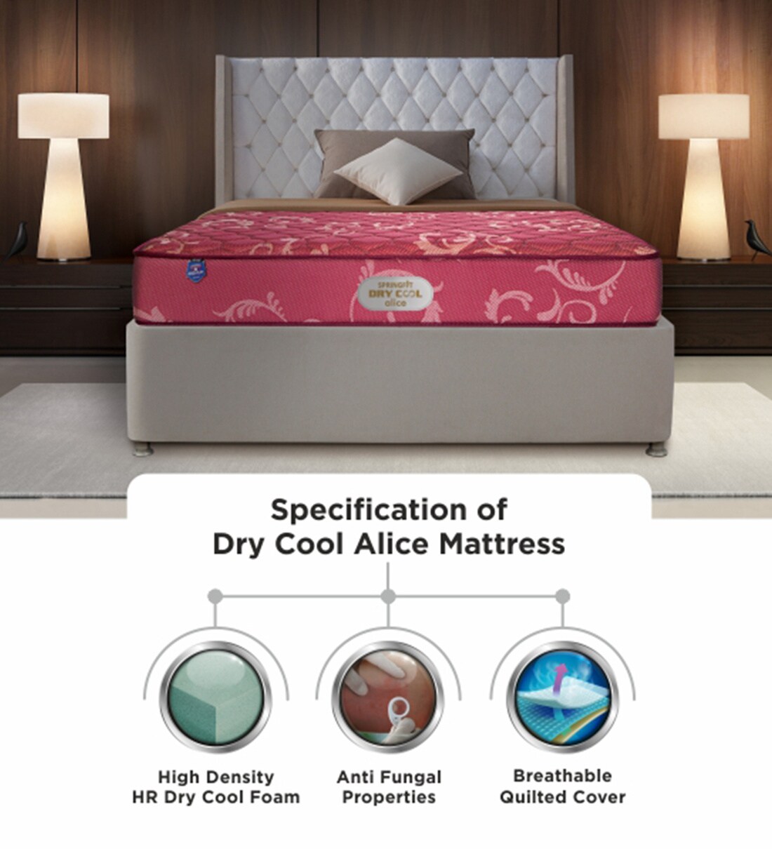 Buy Springfit Dry Cool Alice 4 Inch HD Dry Cool Foam Queen Size