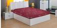 Dream Queen Size (78x60) 4 Inch Coir Mattress