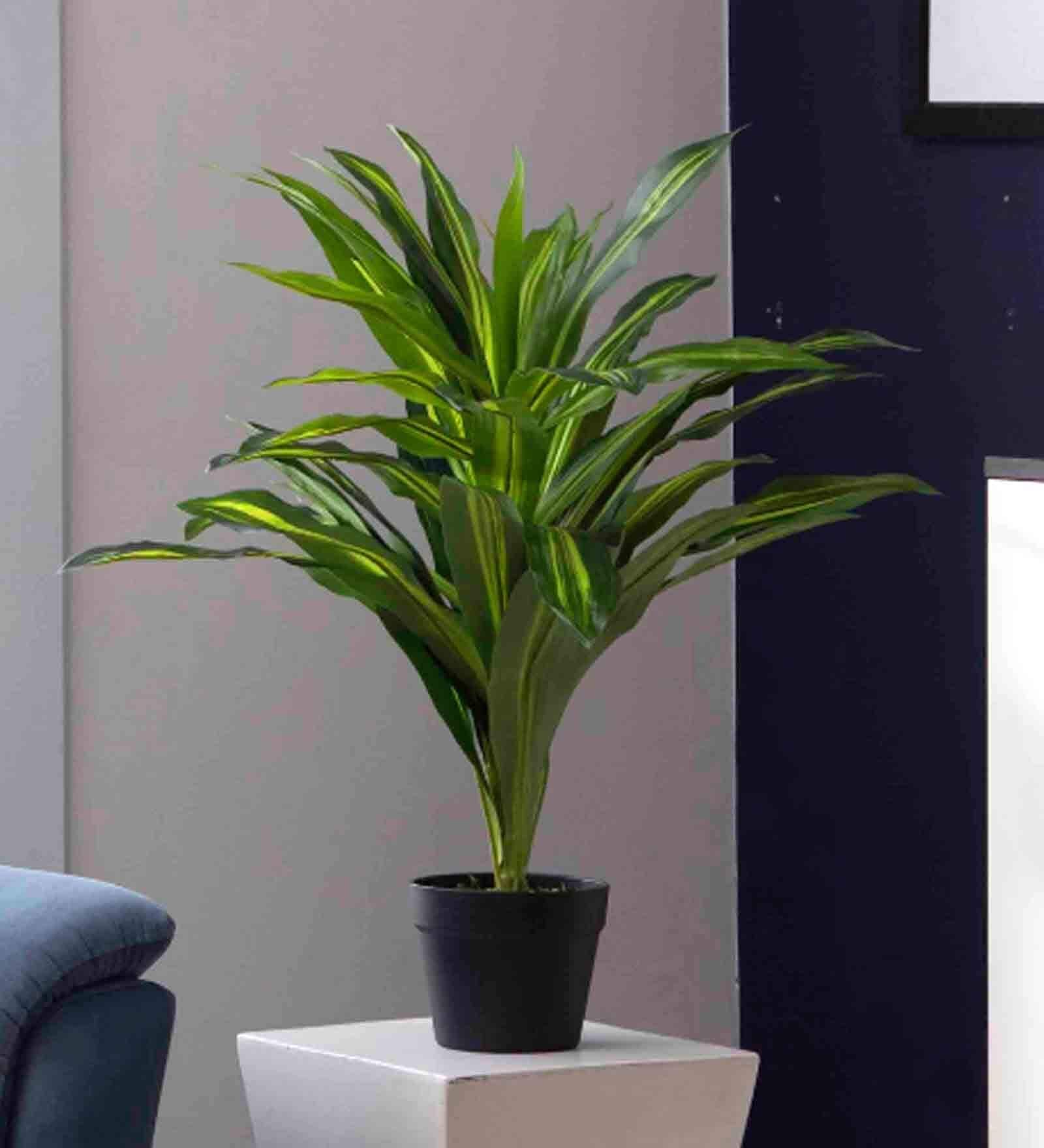 Dracaena Dragon Polyester Yellow Artificial Plant with Pot
