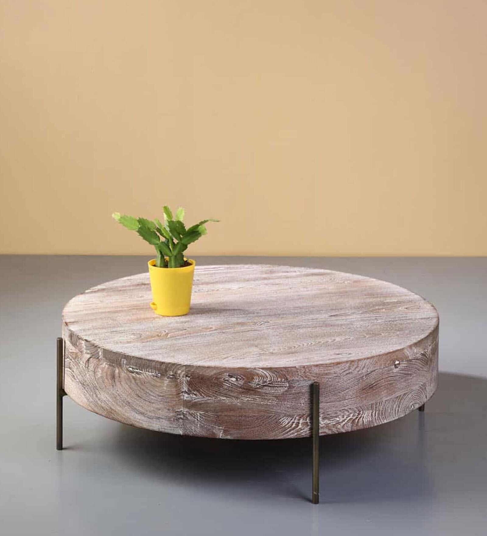 Drum Solid Wood Coffee Table in Natural Finish