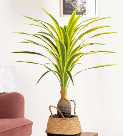 Dracaena Yellow Polyester Artificial Tropical Plant without Pot
