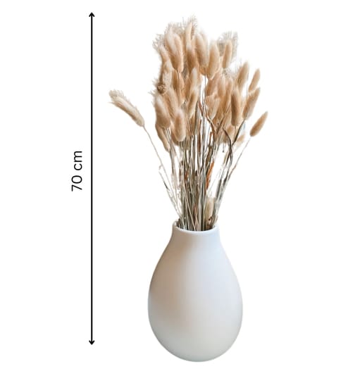 Dried Flower Brown And Natural Bunny Tails 37 Stems