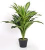 Dracaena Dragon Polyester Yellow Artificial Plant with Pot