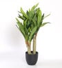Dracaena Polyester Yellow Artificial Plant with Pot