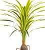 Dracaena Yellow Polyester Artificial Tropical Plant without Pot