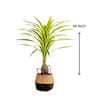 Dracaena Yellow Polyester Artificial Tropical Plant without Pot