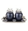 Silver Aluminium Dravelion Blue Pearl Apple Set Set Of Storage Box