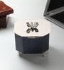 Silver Steel Dravelion Blue Pearl Large Storage Box