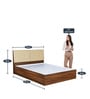 Dream Queen Size Upholstered Bed with Storage In Light Brown Finish