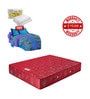 Dream Sleep King Bed 75x72x6 Bonnell Spring Mattress (Free Pillows with Bedsheet)