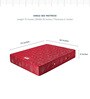 Dream Sleep Single Bed 75x36x6 Bonnell Spring Mattress (Free Pillow)