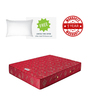 Dream Sleep Single Bed 75x36x6 Bonnell Spring Mattress (Free Pillow)